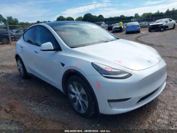  Salvage Tesla Model Y