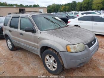  Salvage Ford Escape