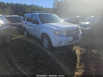  Salvage Ford Escape