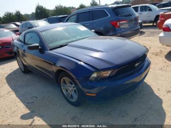  Salvage Ford Mustang