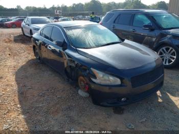  Salvage Nissan Maxima