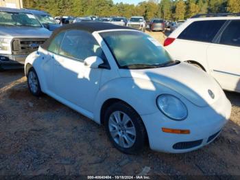  Salvage Volkswagen Beetle