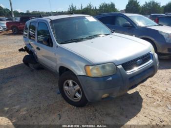  Salvage Ford Escape