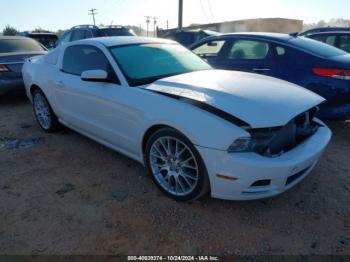  Salvage Ford Mustang