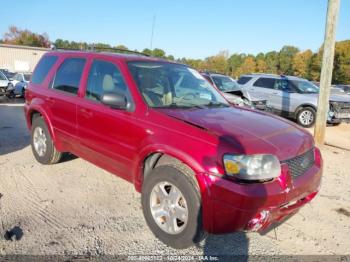  Salvage Ford Escape