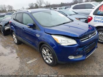  Salvage Ford Escape