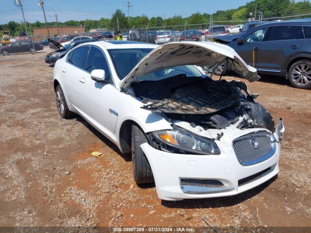  Salvage Jaguar XF