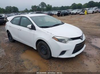  Salvage Toyota Corolla