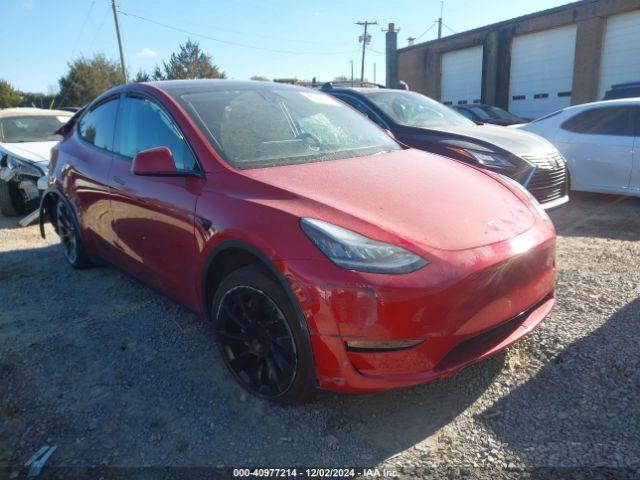  Salvage Tesla Model Y