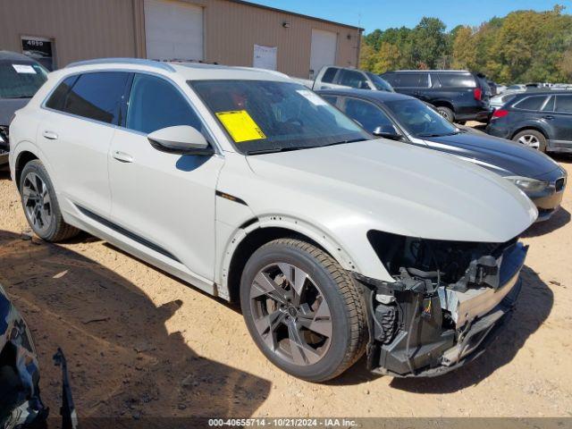  Salvage Audi e-tron