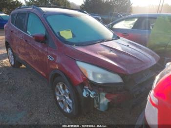  Salvage Ford Escape