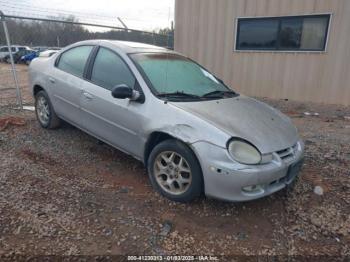  Salvage Dodge Neon