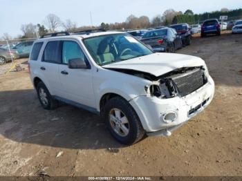  Salvage Ford Escape