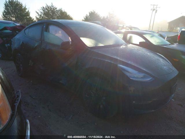  Salvage Tesla Model Y