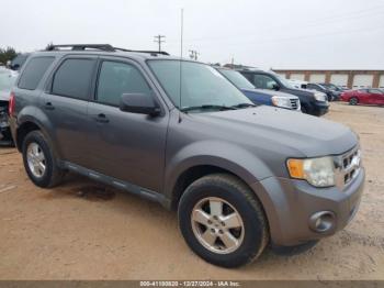  Salvage Ford Escape