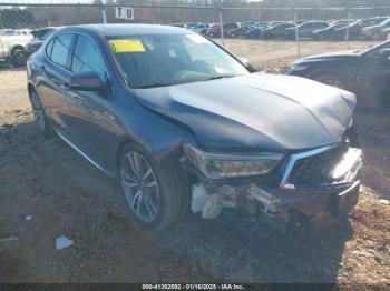  Salvage Acura TLX