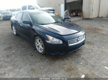  Salvage Nissan Maxima