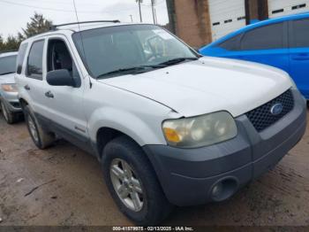  Salvage Ford Escape