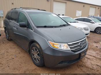  Salvage Honda Odyssey
