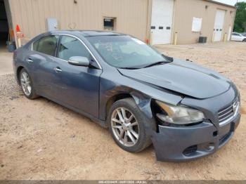  Salvage Nissan Maxima