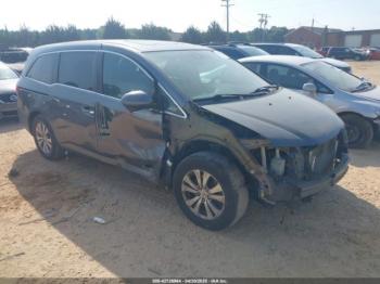  Salvage Honda Odyssey