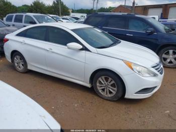  Salvage Hyundai SONATA