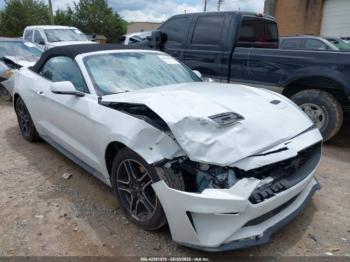  Salvage Ford Mustang