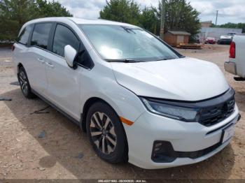 Salvage Honda Odyssey