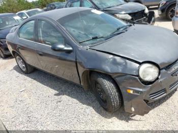  Salvage Dodge Neon