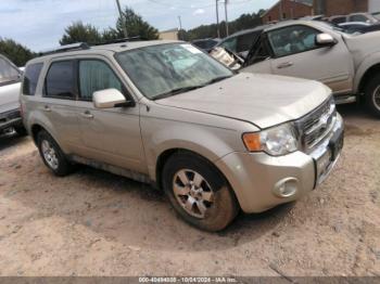  Salvage Ford Escape