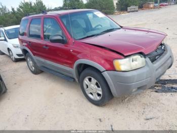  Salvage Ford Escape
