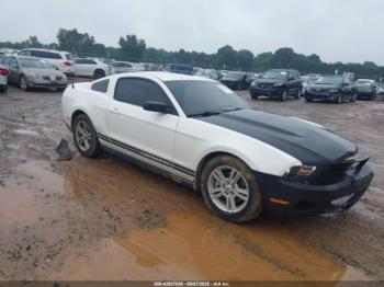  Salvage Ford Mustang