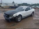 Ford Mustang V6 Image 3