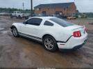 Ford Mustang V6 Image 2