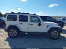 Jeep Wrangler Sahara 4x4 Image 13