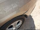 Ford Police Interceptor Image 12