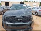 Kia Telluride Sx Image 14