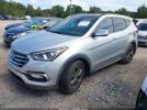 Hyundai SANTA FE 2.0t Ultimate Image 2