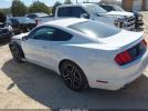 Ford Mustang Ecoboost Image 7