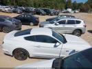 Ford Mustang Ecoboost Image 17
