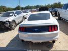 Ford Mustang Ecoboost Image 18