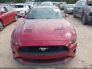 Ford Mustang Ecoboost Image 12