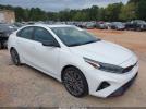 Kia Forte Gt Manual Image 1