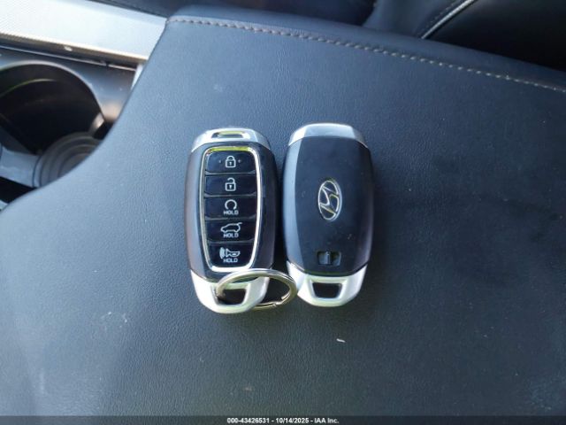 Hyundai PALISADE Calligraphy Image 13