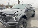 Ford F-150 Raptor Image 2