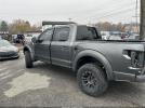 Ford F-150 Raptor Image 4