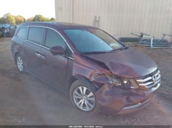  Salvage Honda Odyssey