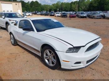  Salvage Ford Mustang
