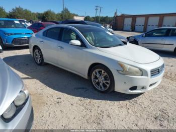  Salvage Nissan Maxima