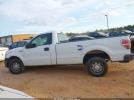 Ford F-150 Image 13